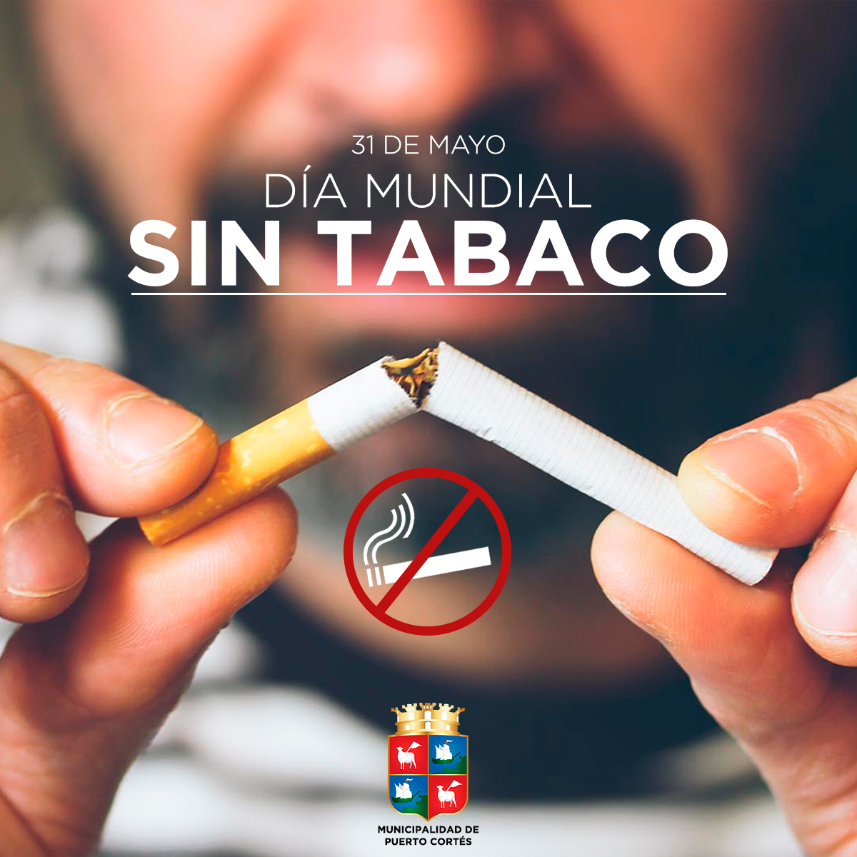 Día Mundial Sin Tabaco Municipalidad De Puerto Cortés 1062